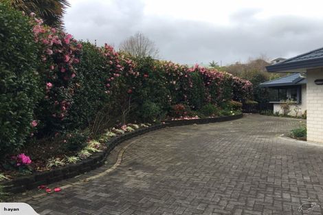 Photo of property in 16 Alexander Court, Pukekohe, 2120