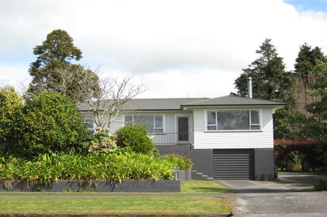 Photo of property in 11 Brecon Road, Stratford, 4332