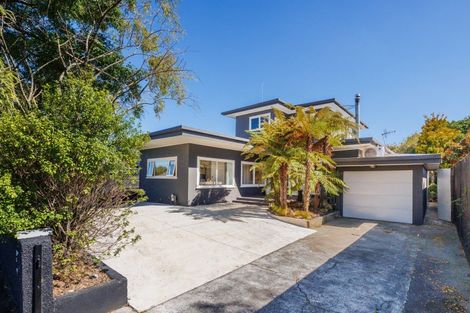 Photo of property in 59 Limbrick Street, Terrace End, Palmerston North, 4410