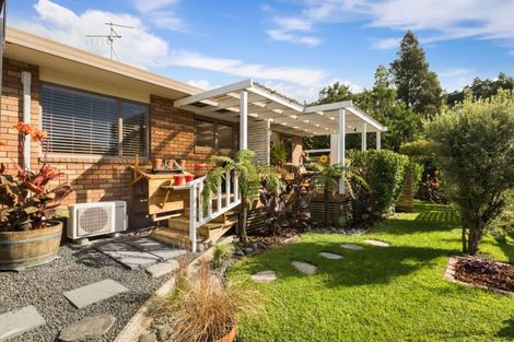 Photo of property in 33 Russell Street, Waihi, 3610
