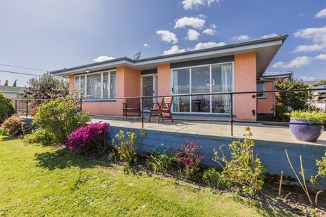 Photo of property in 45a Racecourse Road, Waipukurau, 4200