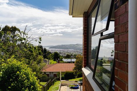 Photo of property in 119 Riselaw Road, Calton Hill, Dunedin, 9012