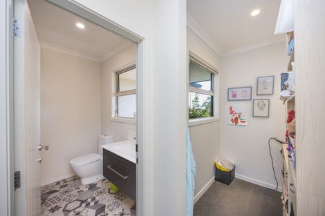 Photo of property in 60 Beechwood Road, Feilding, 4779