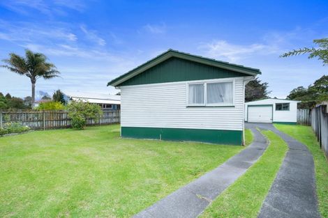 Photo of property in 66 Universal Drive, Henderson, Auckland, 0610