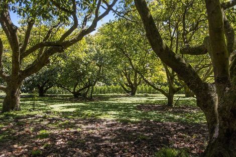 Photo of property in 13b Astelia Drive, Omokoroa, 3114