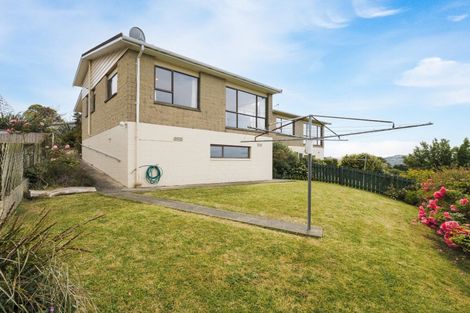 Photo of property in 2d-c Renfrew Street, Balaclava, Dunedin, 9011
