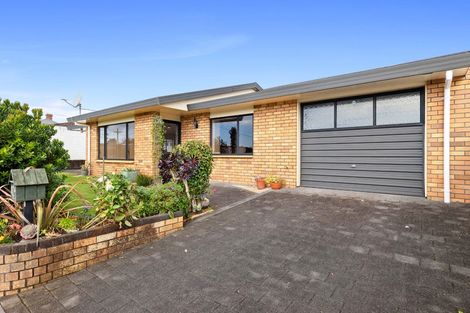 Photo of property in 17a Huatoki Street, Vogeltown, New Plymouth, 4310