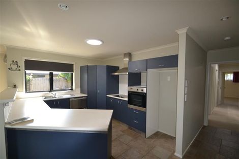 Photo of property in 63 Templemore Drive, Richmond, 7020