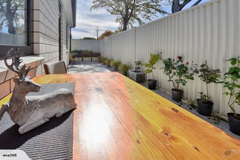 Photo of property in 71 Hokonui Drive, Gore, 9710