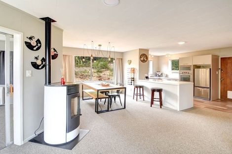 Photo of property in 33 Elliffe Place, Shiel Hill, Dunedin, 9013