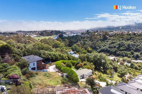 Photo of property in 1 Lauriston Street, Andersons Bay, Dunedin, 9013