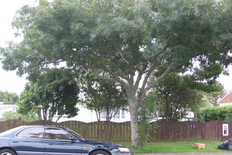 Photo of property in 60 Buscomb Avenue, Henderson, Auckland, 0610