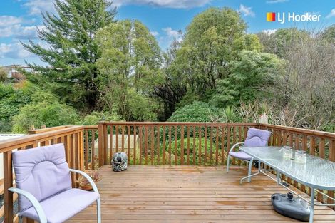 Photo of property in 19 Strathearn Avenue, Wakari, Dunedin, 9010