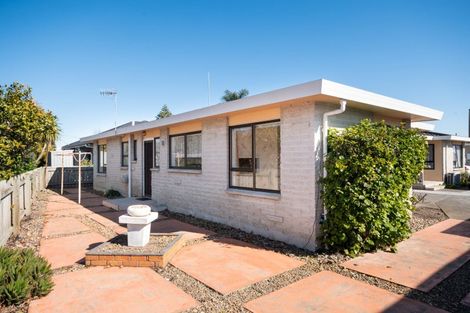 Photo of property in 1/207 Hapuku Street, Frimley, Hastings, 4120