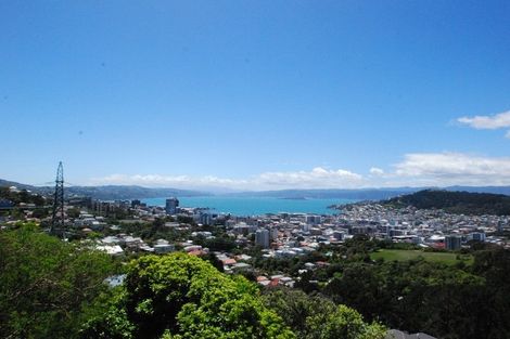 Photo of property in 85 Durham Street, Brooklyn, Wellington, 6021