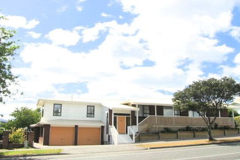 Photo of property in 115 Gemstone Drive, Birchville, Upper Hutt, 5018