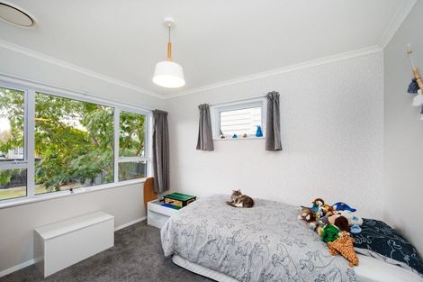 Photo of property in 120 Denbigh Street, Feilding, 4702