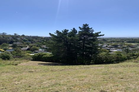 Photo of property in 17 Stronsay Lane, Hillsborough, Christchurch, 8022