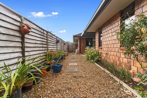 Photo of property in 14 Bellbird Rise, Pyes Pa, Tauranga, 3112