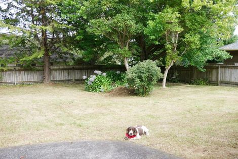 Photo of property in 11 Manuka Street, Stokes Valley, Lower Hutt, 5019