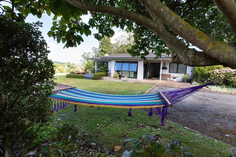 Photo of property in 68 Guy Street, Dannevirke, 4930