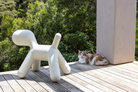 Photo of property in 276a Smyth Road, Dome Forest, Warkworth, 0981