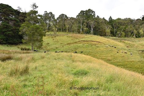 Photo of property in State Highway 12, Paparoa, Maungaturoto, 0583
