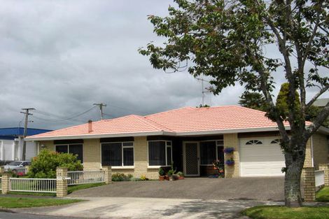 Photo of property in 75 Vaile Street, Te Awamutu, 3800