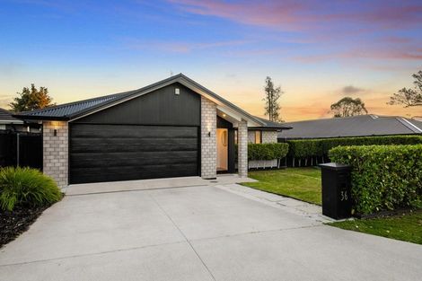 Photo of property in 36 Rapana Drive, Tuakau, 2121