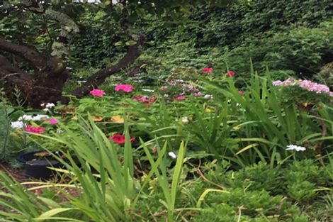 Photo of property in 38a Albert Road, Devonport, Auckland, 0624