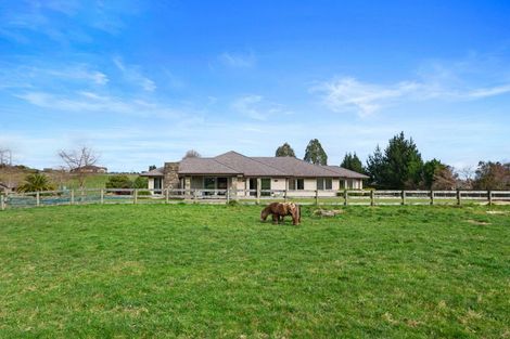 Photo of property in 7 Ascot Vale, Tikitere, Rotorua, 3074