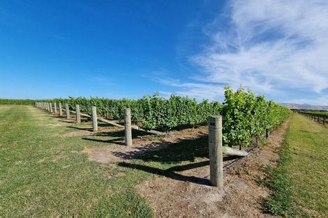 Photo of property in 344 Jones Road, Grovetown, Blenheim, 7273