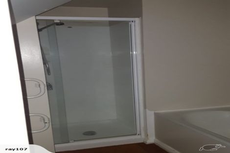 Photo of property in 113 Wallace Street, Mount Cook, Wellington, 6021