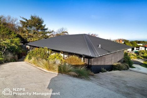 Photo of property in 8 Gala Street, Waverley, Dunedin, 9013