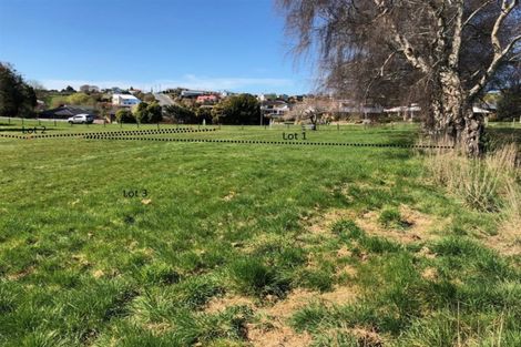 Photo of property in 50 Waimea Avenue, Calton Hill, Dunedin, 9012