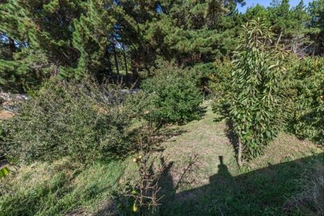 Photo of property in 40 Himatangi Street, Himatangi Beach, Foxton, 4891