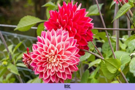 Photo of property in 10 Richmal Street, Waihi, 3610