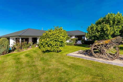 Photo of property in 42 Allan Street, Waimate, 7924
