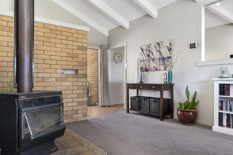 Photo of property in 227 Youngson Road, Whakamarama, Tauranga, 3179