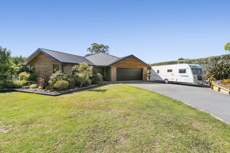 Photo of property in 565 Omanawa Road, Omanawa, Tauranga, 3171