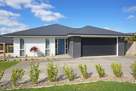 Photo of property in 32 Helenslee Road, Pokeno, 2402