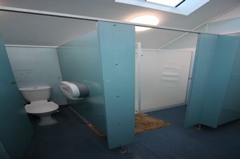 Photo of property in 113 Coromandel Street, Newtown, Wellington, 6021