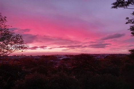 Photo of property in 310 Heale Street, Thames, 3500