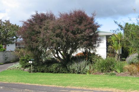 Photo of property in 21 Clinton Avenue, Te Atatu Peninsula, Auckland, 0610