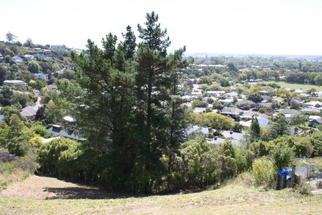 Photo of property in 17 Stronsay Lane, Hillsborough, Christchurch, 8022