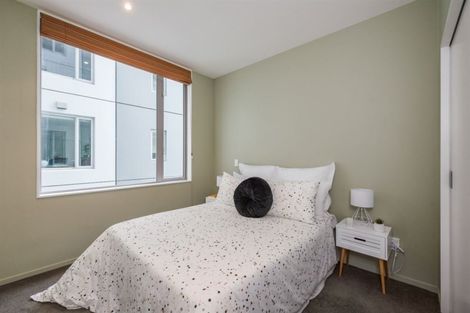 Photo of property in Trinity Apartments, 303/19 College Street, Te Aro, Wellington, 6011