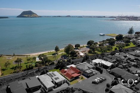 Photo of property in 9 Aylesbury Terrace, Otumoetai, Tauranga, 3110