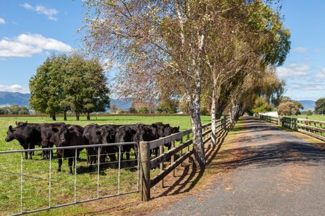 Photo of property in Taihoa Road South, Matamata, 3473