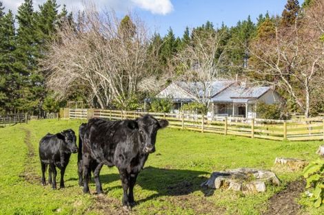 Photo of property in 25b Youngson Road, Whakamarama, Tauranga, 3180