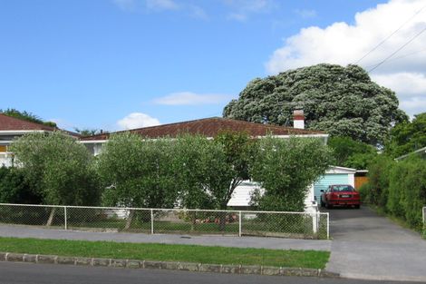 Photo of property in 17 Maranui Avenue, Point Chevalier, Auckland, 1022